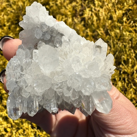 ✨LIKE FOR LIVE SHOW NOTIFICATION✨ - Picture 9 of 15